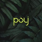 Psy Jungle