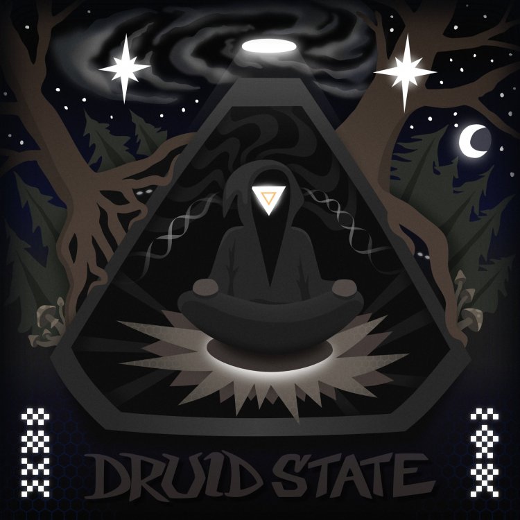 DRUID STATE-COVER-small.jpg