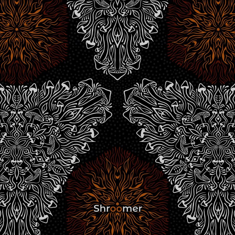 Druid-Shroomer-cover-psynews.jpg
