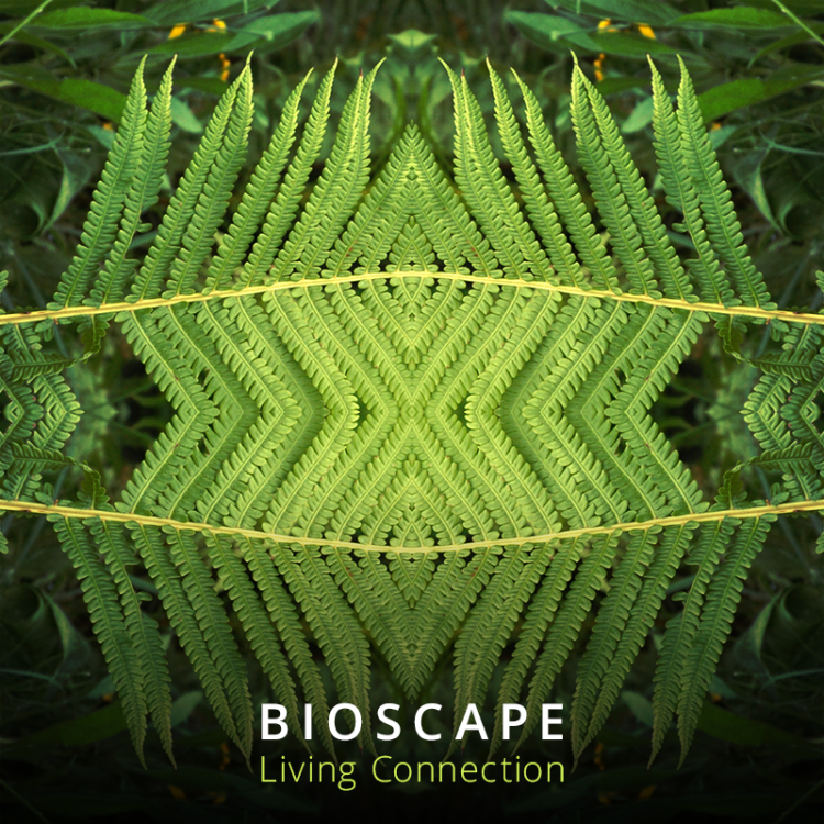 2044752566_00-Bioscape-LivingConnection-Image1.thumb.png.c3d1865cb1a90fcf1fd1695c3fc4e507.png