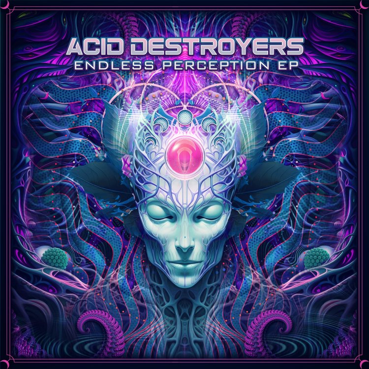 Acid-Destroyers---Endless-Perception.jpg