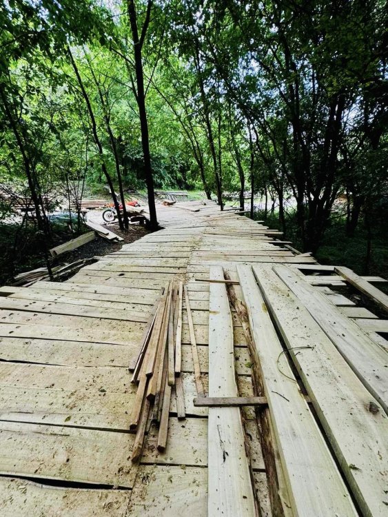 106.jpg
