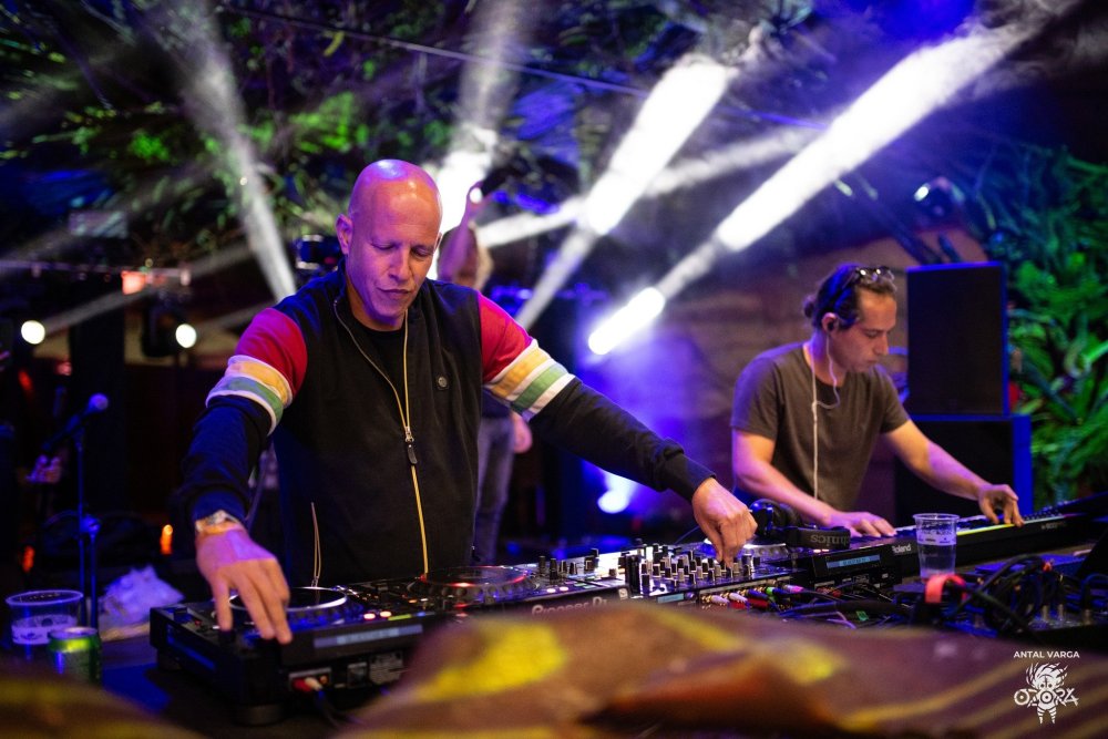 210 Infected Mushroom.jpg